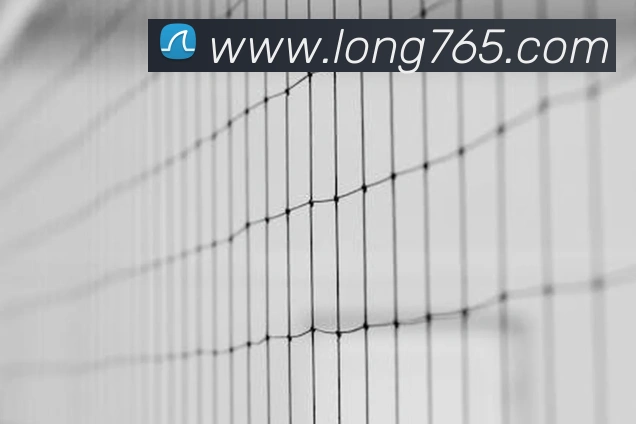 龙8-long8(国际)官方网站平台生态图